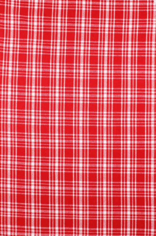 TT-DAL/CHK/RED/WHI  tea towel Red and White check